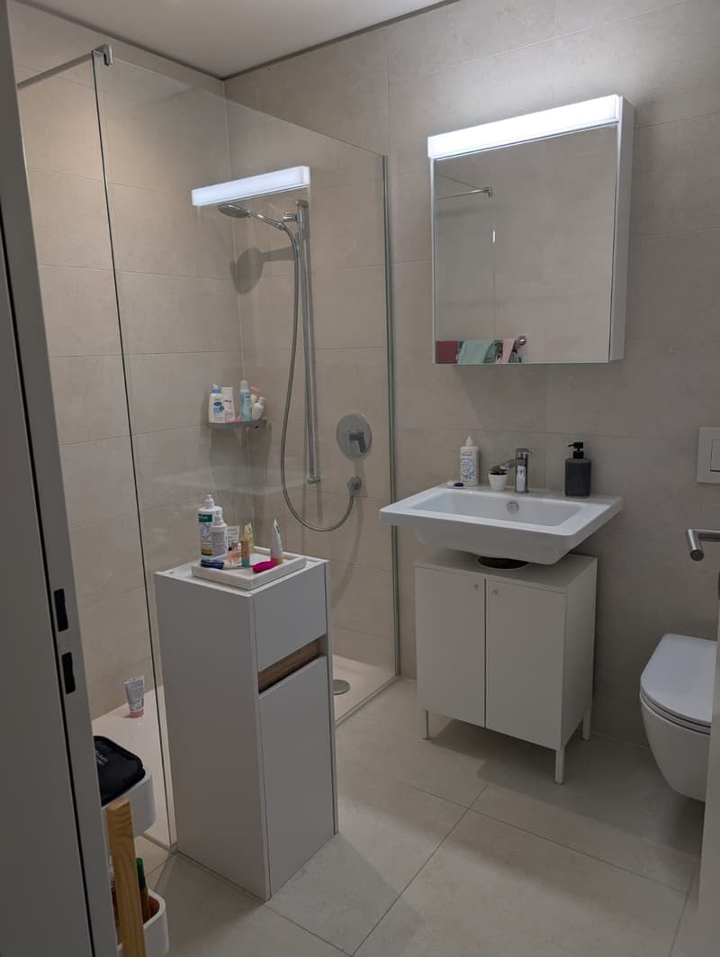 3½ ZI-WOHNUNG IN OSTERMUNDIGEN (BE), MÖBLIERT, TEMPORÄR (7)
