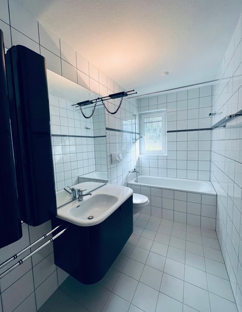 3½ ZI-WOHNUNG IN ZÜRICH - KREIS 10 HÖNGG, MÖBLIERT, TEMPORÄR (6)