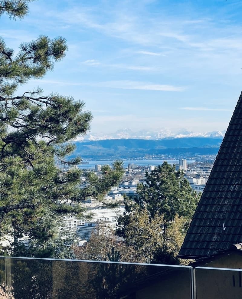 3½ ZI-WOHNUNG IN ZÜRICH - KREIS 10 HÖNGG, MÖBLIERT, TEMPORÄR (4)