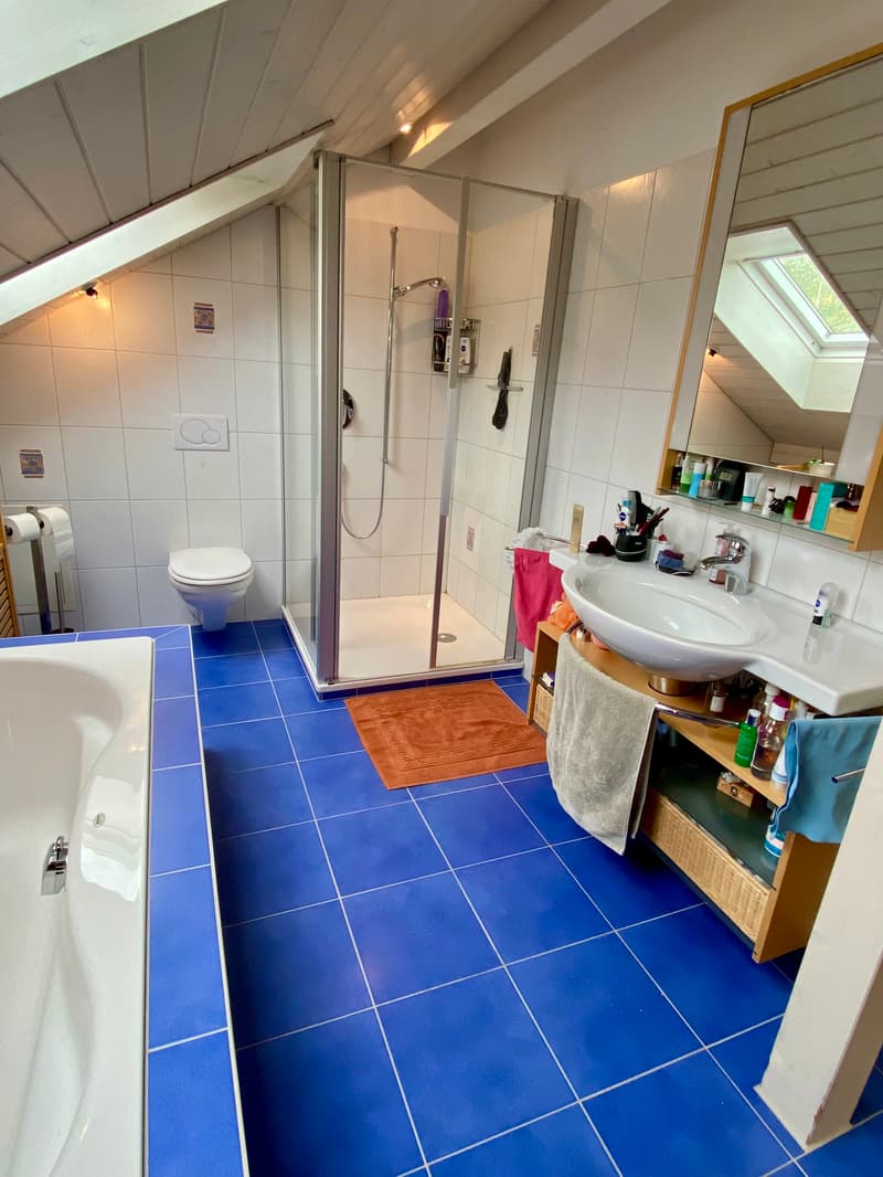 5½ ZIMMER-HAUS IN WETZIKON (ZH), MÖBLIERT, TEMPORÄR (10)