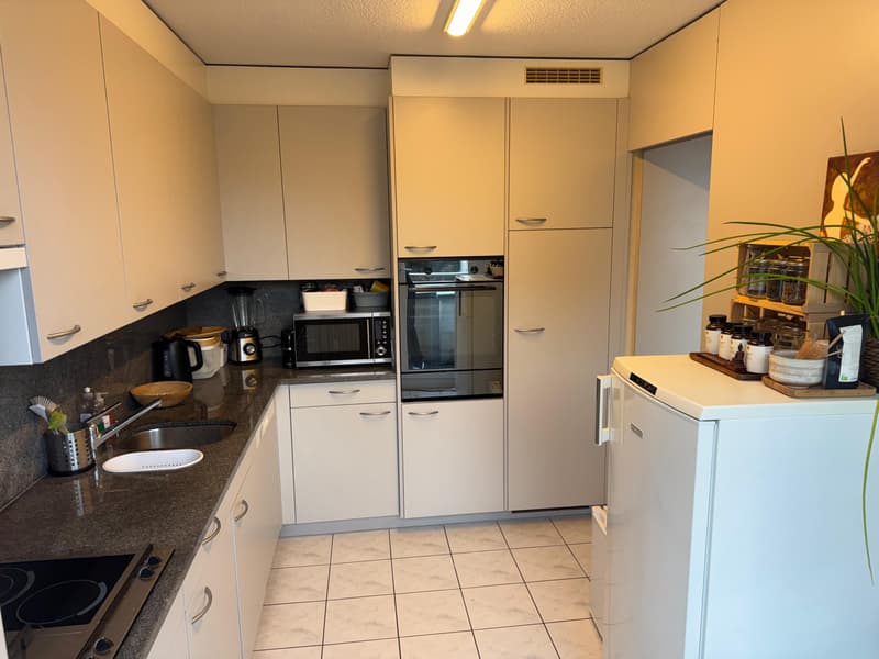 3½ ZIMMER-DACHWOHNUNG IN LUZERN, MÖBLIERT, TEMPORÄR (3)