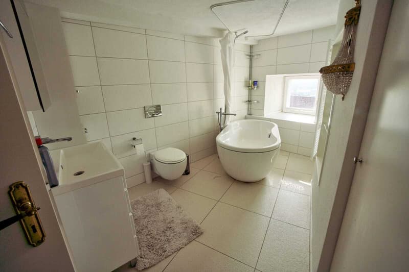 4½ ZI-WOHNUNG IN MÜNCHENSTEIN (BL), MÖBLIERT, TEMPORÄR (8)