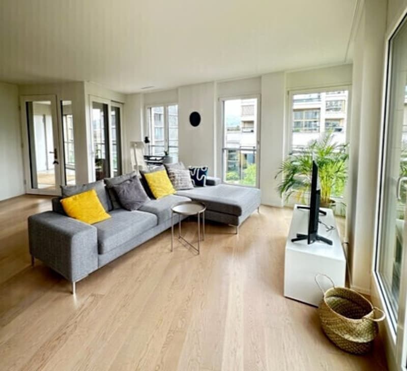 2½ ZI-WOHNUNG IN ZÜRICH - KREIS 5 INDUSTRIEQUARTIER, MÖBLIERT, TEMPORÄ (1)