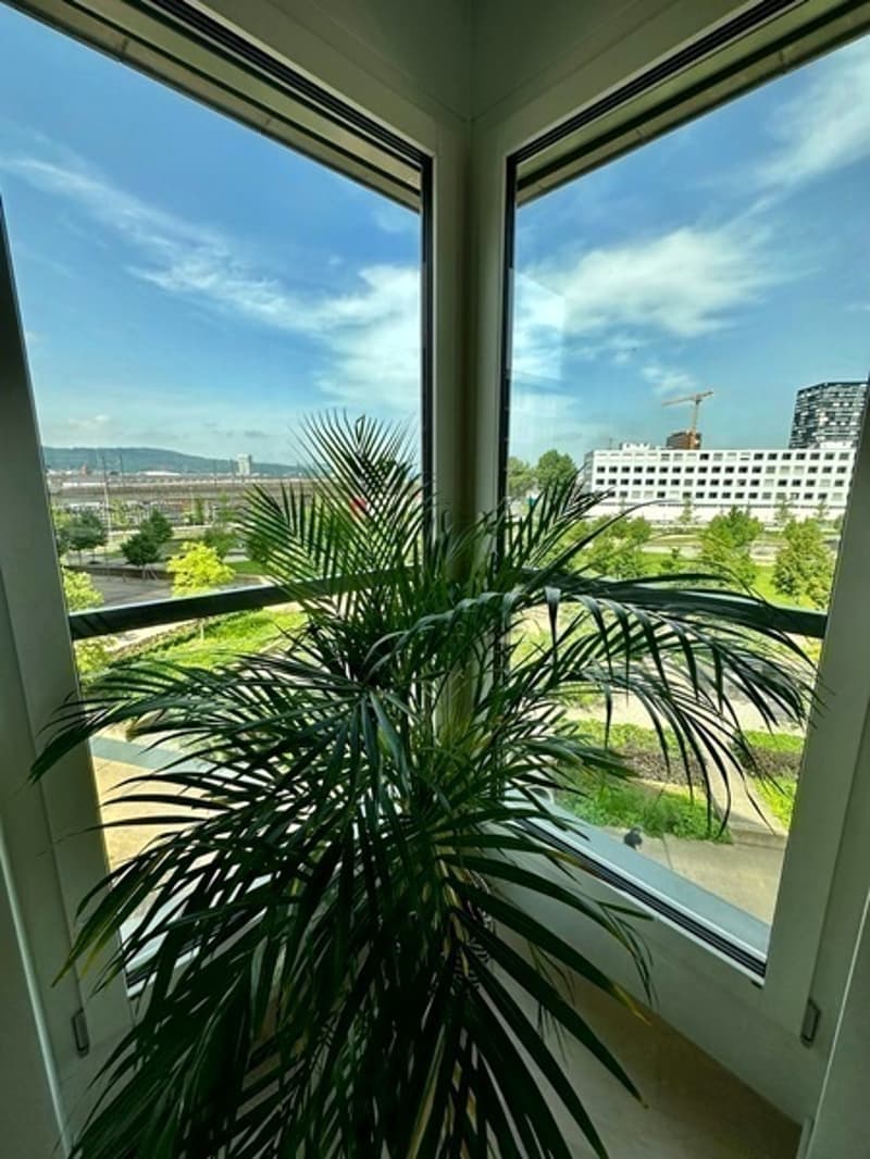 2½ ZI-WOHNUNG IN ZÜRICH - KREIS 5 INDUSTRIEQUARTIER, MÖBLIERT, TEMPORÄ (9)
