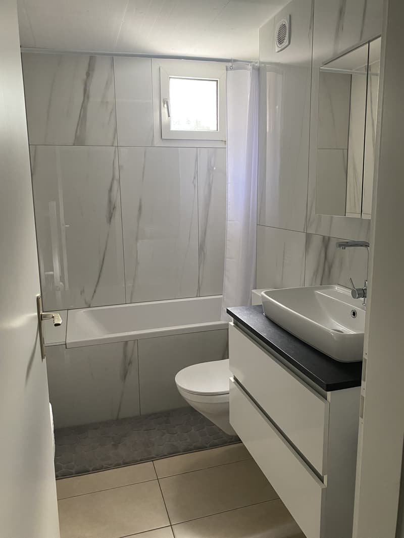 3½ ZI-WOHNUNG IN IPSACH (BE), MÖBLIERT, TEMPORÄR (7)