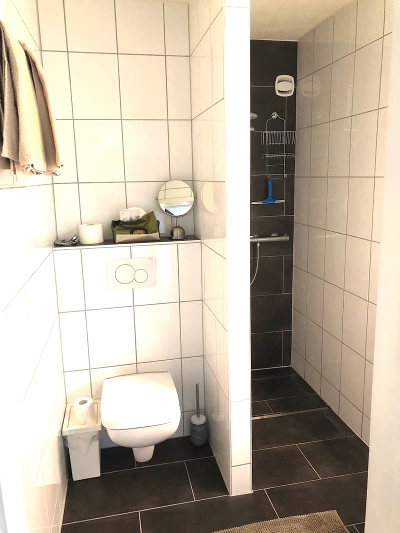 2½ ZI-WOHNUNG IN GAMS (SG), MÖBLIERT, TEMPORÄR (9)