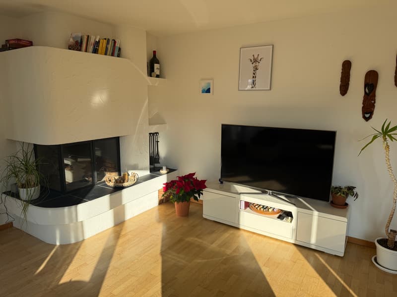 3½ ZIMMER-ATTIKAWOHNUNG IN ZÜRICH - KREIS 2 ENGE, MÖBLIERT, TEMPORÄR (2)