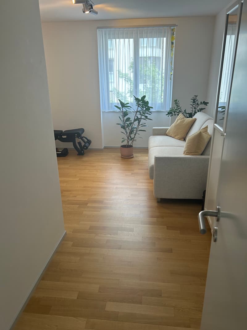 3½ ZI-WOHNUNG IN ZÜRICH - KREIS 4, MÖBLIERT, TEMPORÄR (5)