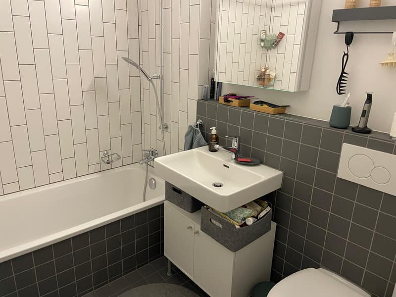 3½ ZI-WOHNUNG IN ZÜRICH - KREIS 4, MÖBLIERT, TEMPORÄR (6)