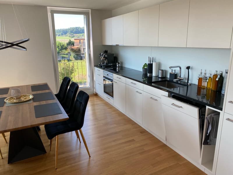 3½ ZI-WOHNUNG IN HEDINGEN (ZH), MÖBLIERT, TEMPORÄR (3)