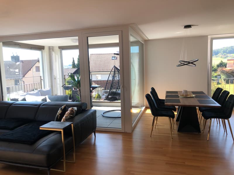 3½ ZI-WOHNUNG IN HEDINGEN (ZH), MÖBLIERT, TEMPORÄR (2)