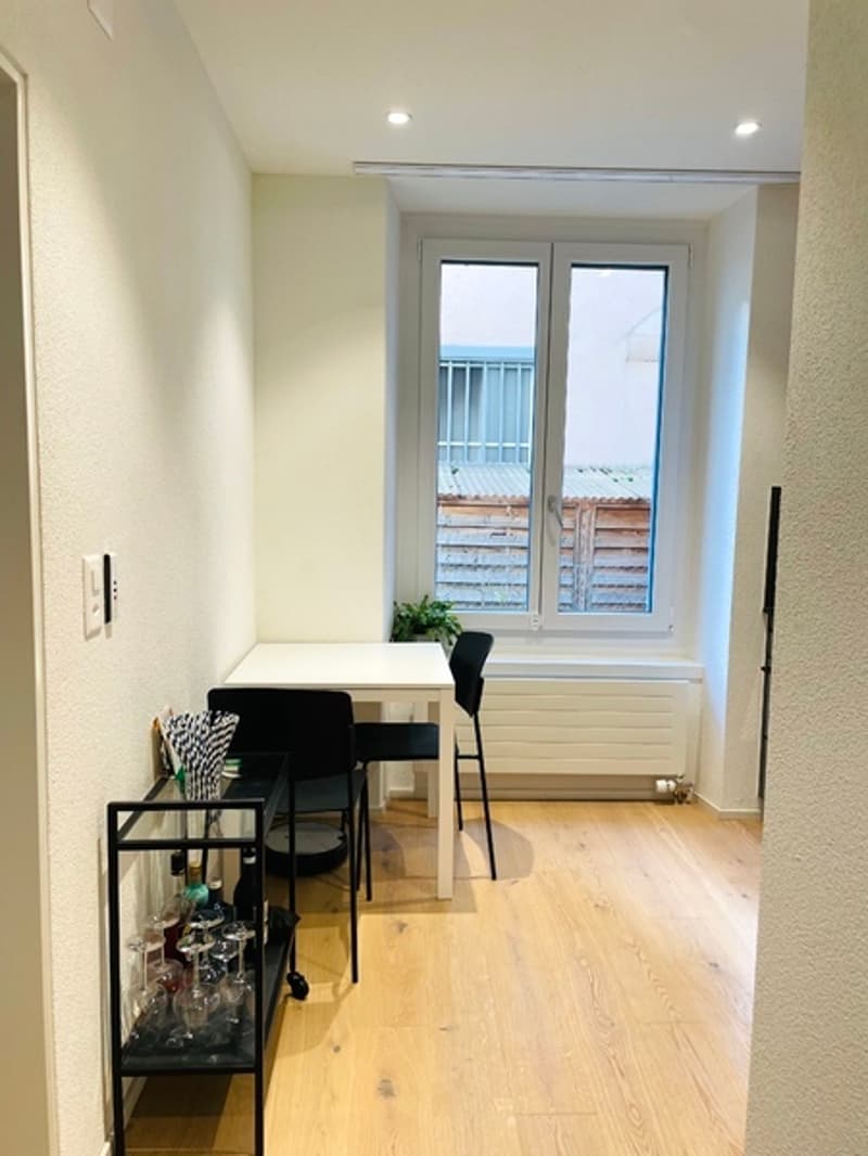 1½ ZI-WOHNUNG IN ZÜRICH - KREIS 3, MÖBLIERT, TEMPORÄR (2)
