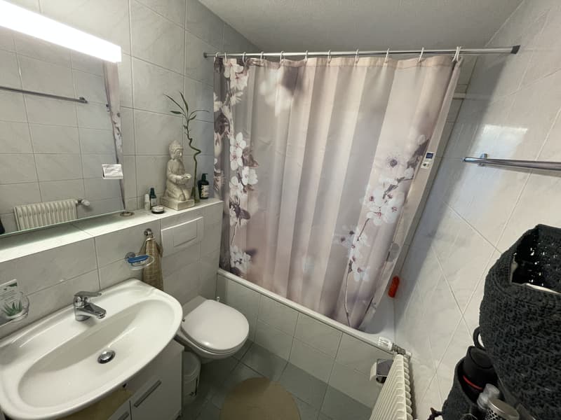 3½ ZI-WOHNUNG IN STETTLEN (BE), MÖBLIERT, TEMPORÄR (7)