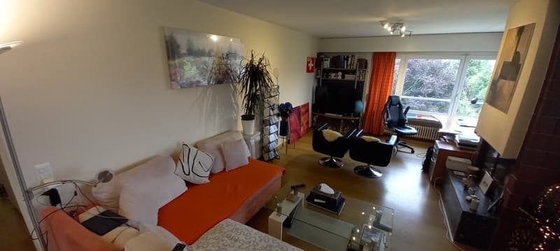 3½ ZI-WOHNUNG IN WÜRENLOS (AG), MÖBLIERT, TEMPORÄR (3)