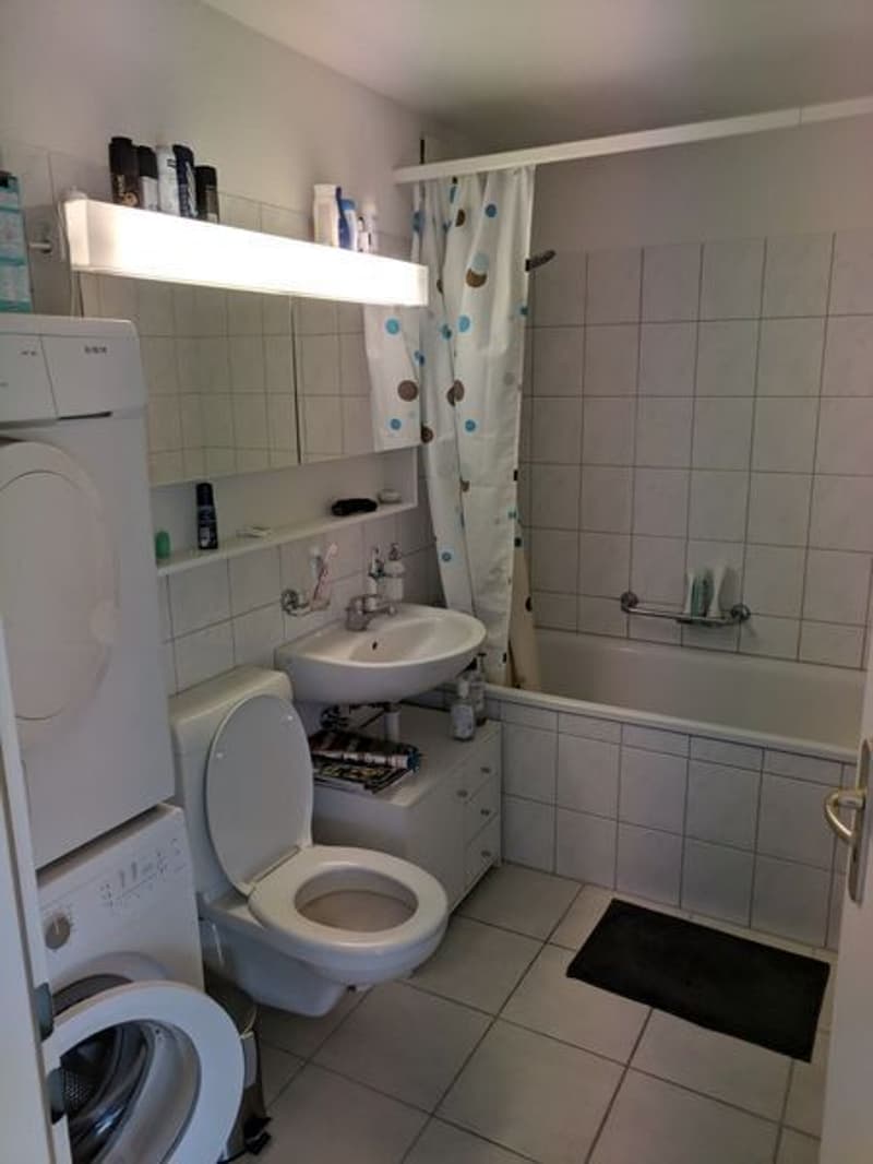 3½ ZI-WOHNUNG IN WINTERTHUR, MÖBLIERT, TEMPORÄR (7)