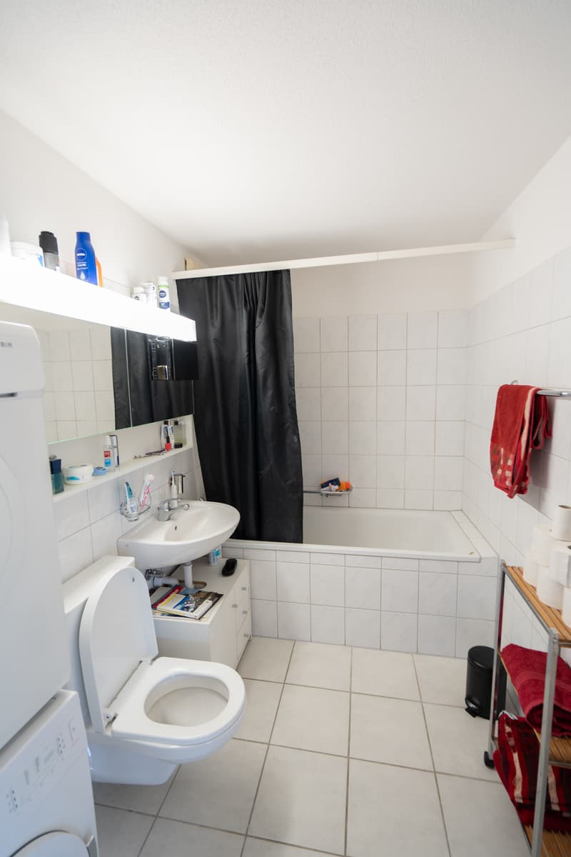 3½ ZI-WOHNUNG IN WINTERTHUR, MÖBLIERT, TEMPORÄR (6)