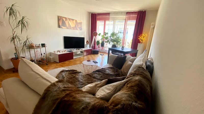 3 ZI-WOHNUNG IN BASEL - GELLERT/ST. ALBAN, MÖBLIERT, TEMPORÄR (1)