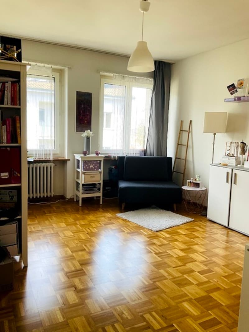 3 ZI-WOHNUNG IN BASEL - GELLERT/ST. ALBAN, MÖBLIERT, TEMPORÄR (6)