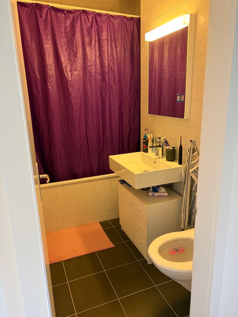 3½ ZI-WOHNUNG IN BERN - OSTERMUNDIGEN, MÖBLIERT, TEMPORÄR (5)