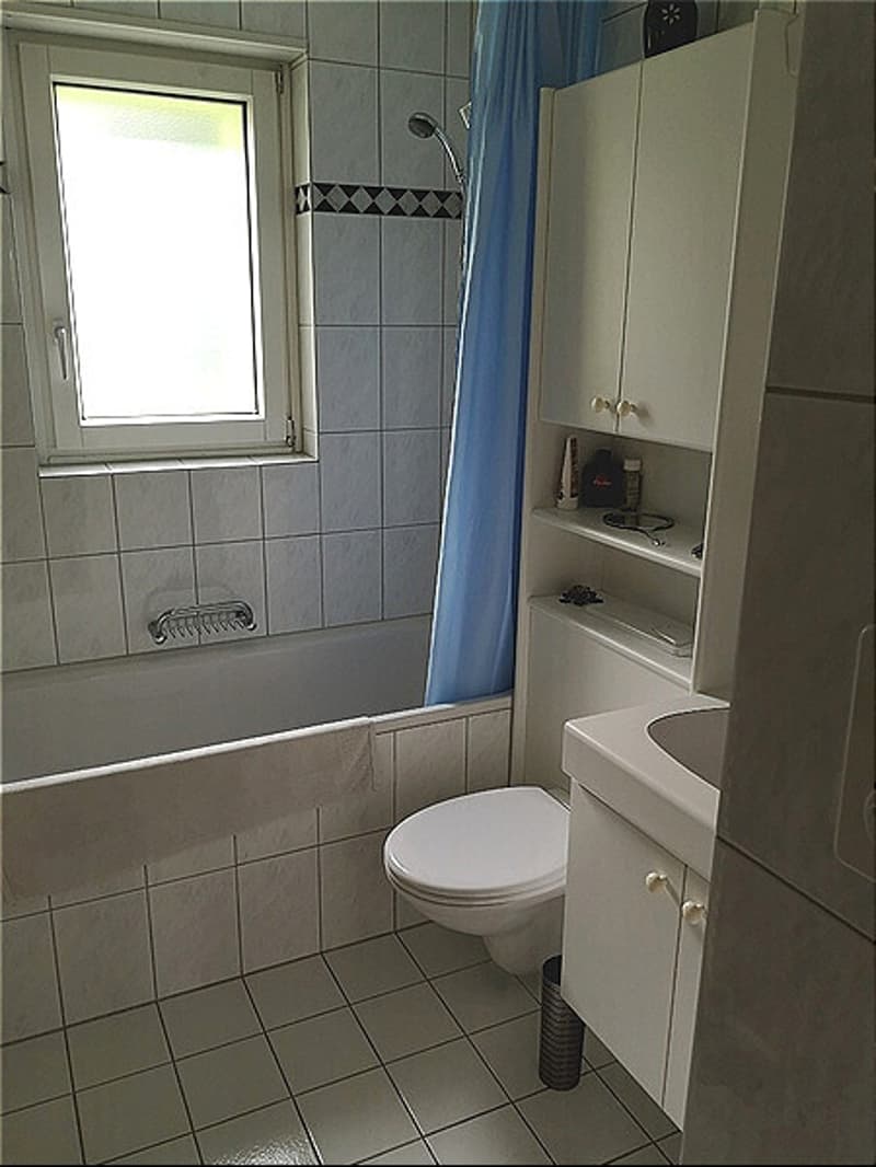2 ZI-WOHNUNG IN OBERENGSTRINGEN (ZH), MÖBLIERT, TEMPORÄR (5)