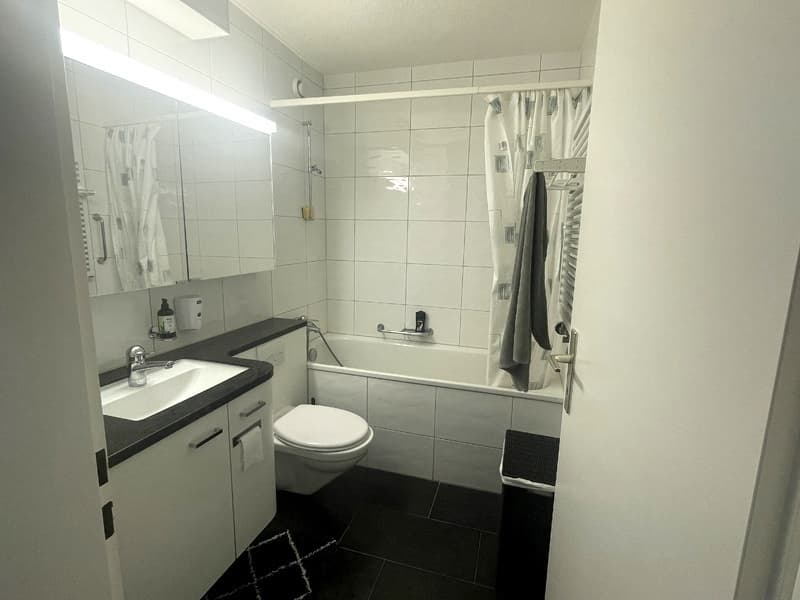 2½ ZI-WOHNUNG IN ZÜRICH - KREIS 9 ALTSTETTEN, MÖBLIERT, TEMPORÄR (7)
