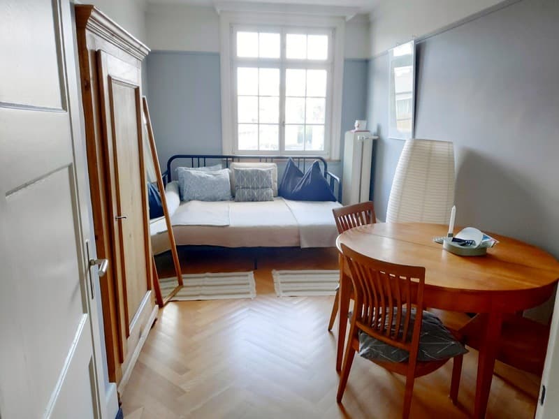4½ ZI-WOHNUNG IN LUZERN, MÖBLIERT, TEMPORÄR (2)