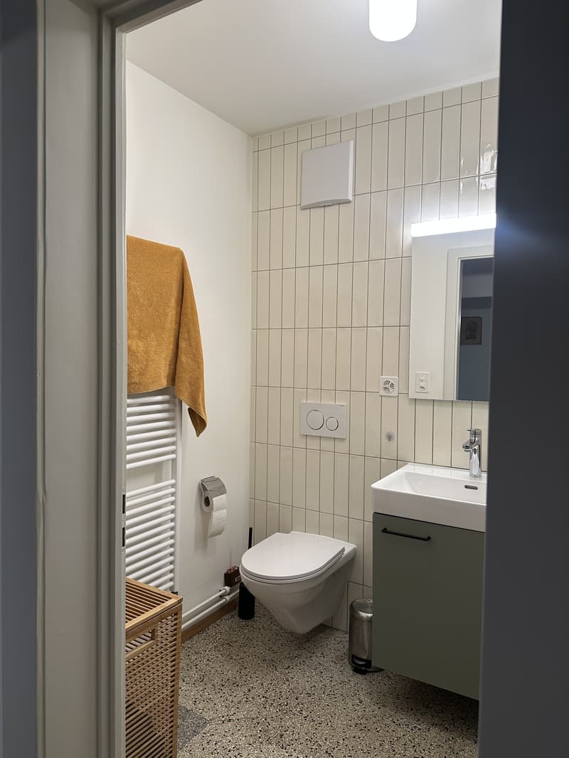 3½ ZI-WOHNUNG IN BASEL - ISELIN, MÖBLIERT, TEMPORÄR (9)