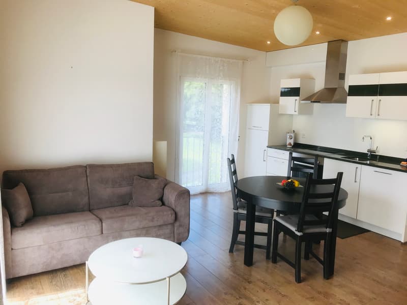 2½ ZI-WOHNUNG IN OBERGÖSGEN (SO), MÖBLIERT (2)