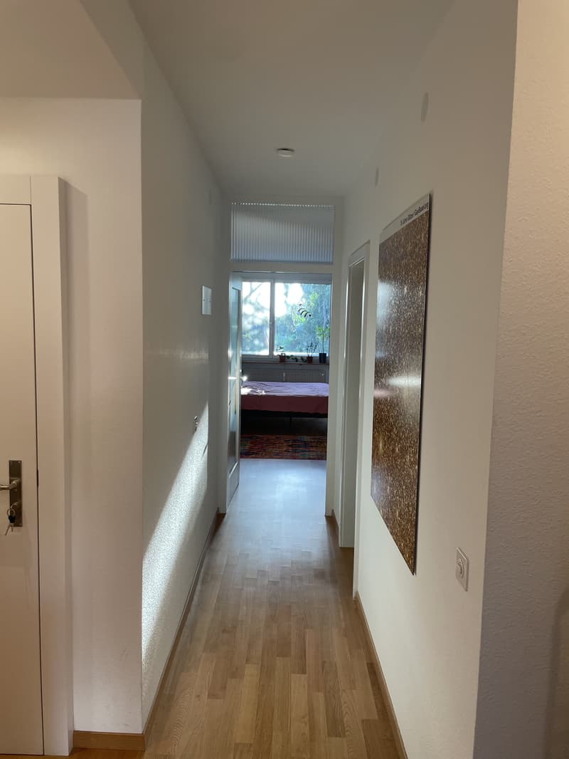 2½ ZI-WOHNUNG IN BASEL - SPALEN, MÖBLIERT, TEMPORÄR (8)