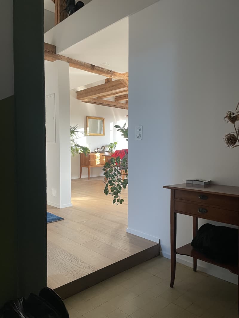4½ ZI-WOHNUNG IN BERN - LORRAINE, MÖBLIERT, TEMPORÄR (10)
