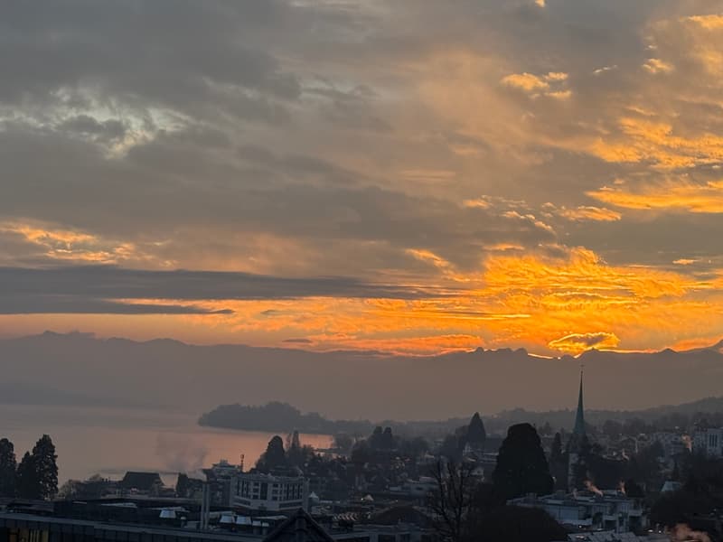 3½ ZIMMER-ATTIKAWOHNUNG IN HORGEN (ZH), MÖBLIERT (8)