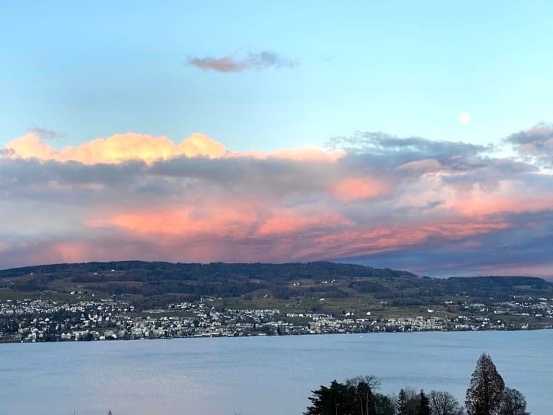 3½ ZIMMER-ATTIKAWOHNUNG IN HORGEN (ZH), MÖBLIERT (2)