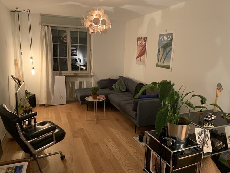 3½ ZI-WOHNUNG IN BERN - ALTSTADT, MÖBLIERT, TEMPORÄR (2)
