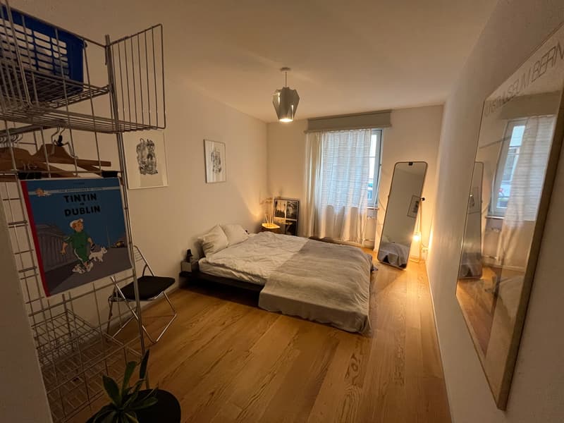 3½ ZI-WOHNUNG IN BERN - ALTSTADT, MÖBLIERT, TEMPORÄR (7)