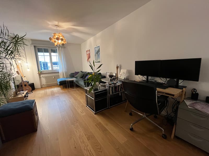 3½ ZI-WOHNUNG IN BERN - ALTSTADT, MÖBLIERT, TEMPORÄR (6)