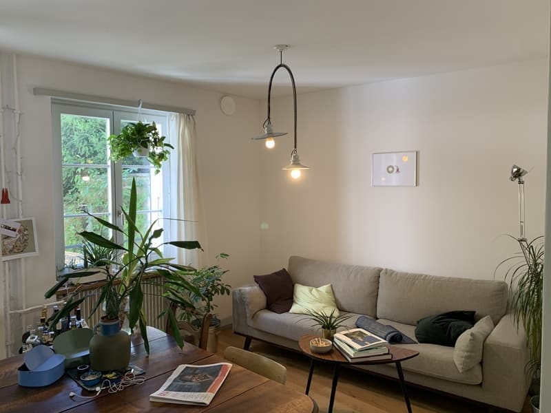 3½ ZI-WOHNUNG IN BERN - ALTSTADT, MÖBLIERT, TEMPORÄR (1)