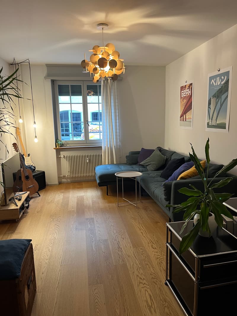 3½ ZI-WOHNUNG IN BERN - ALTSTADT, MÖBLIERT, TEMPORÄR (5)