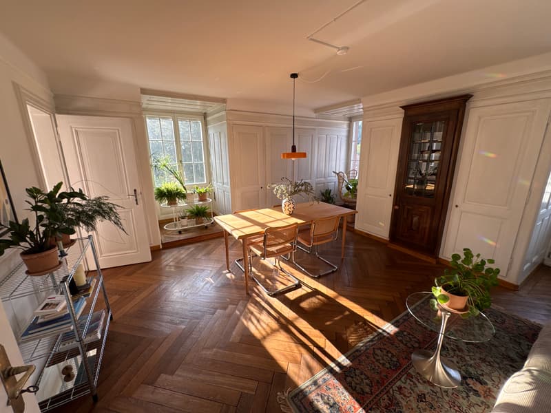 3½ ZI-WOHNUNG IN THUN (BE), MÖBLIERT, TEMPORÄR (1)