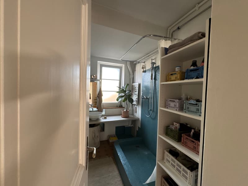 3½ ZI-WOHNUNG IN THUN (BE), MÖBLIERT, TEMPORÄR (4)