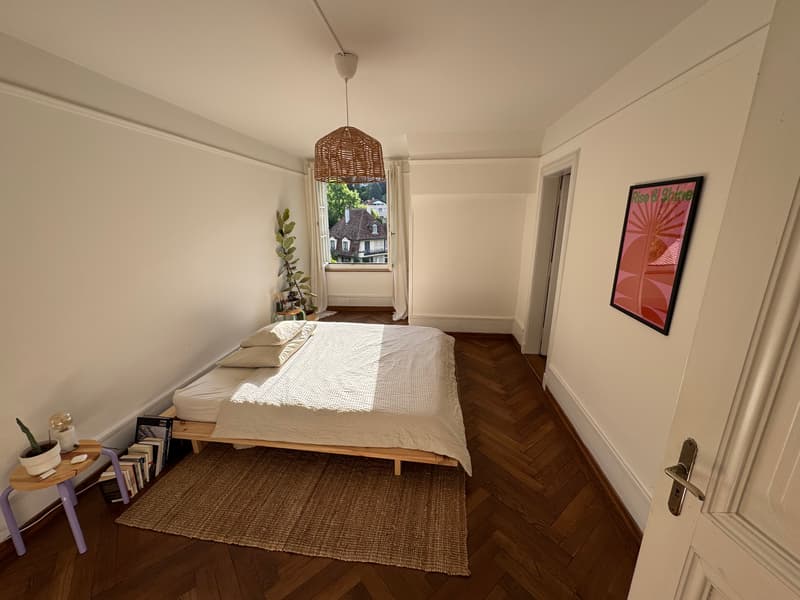 3½ ZI-WOHNUNG IN THUN (BE), MÖBLIERT, TEMPORÄR (3)