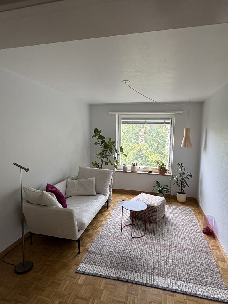 3½ ZI-WOHNUNG IN ZÜRICH - KREIS 6, MÖBLIERT, TEMPORÄR (3)