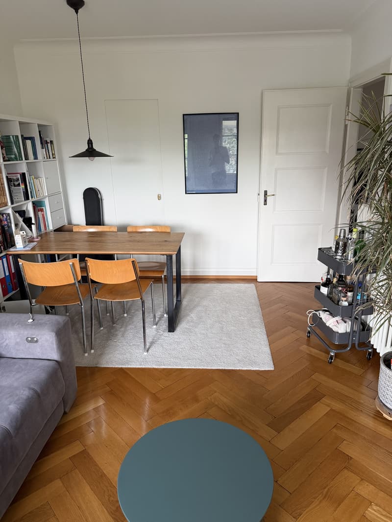 2 ZI-WOHNUNG IN BASEL - ST. JOHANN, MÖBLIERT, TEMPORÄR (7)