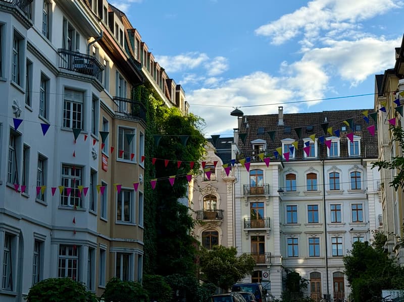 2 ZI-WOHNUNG IN BASEL - ST. JOHANN, MÖBLIERT, TEMPORÄR (3)