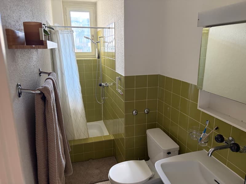 3½ ZI-WOHNUNG IN LUZERN, MÖBLIERT, TEMPORÄR (5)