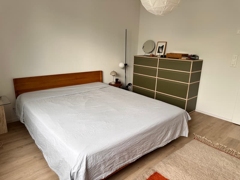 2½ ZI-WOHNUNG IN ZÜRICH - KREIS 9 ALBISRIEDEN, MÖBLIERT, TEMPORÄR (3)