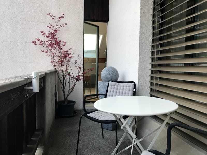 2½ ZI-WOHNUNG IN THUN (BE), MÖBLIERT, TEMPORÄR (12)