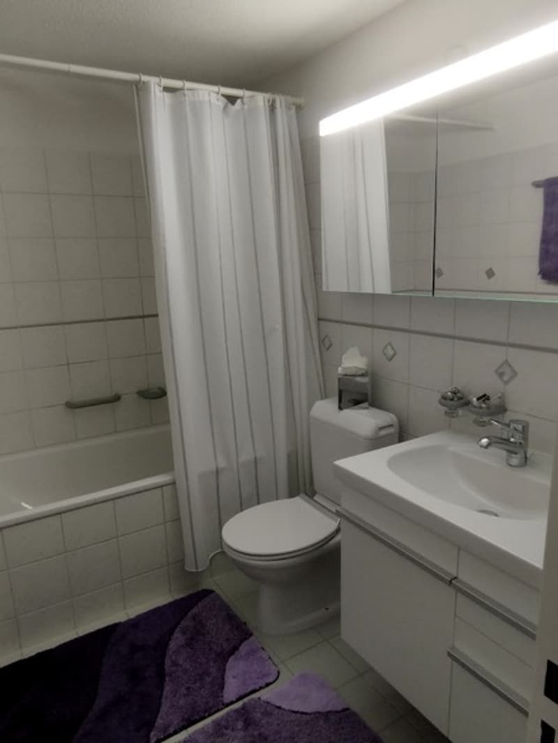 2½ ZIMMER-ATTIKAWOHNUNG IN AU (ZH), MÖBLIERT, TEMPORÄR (9)