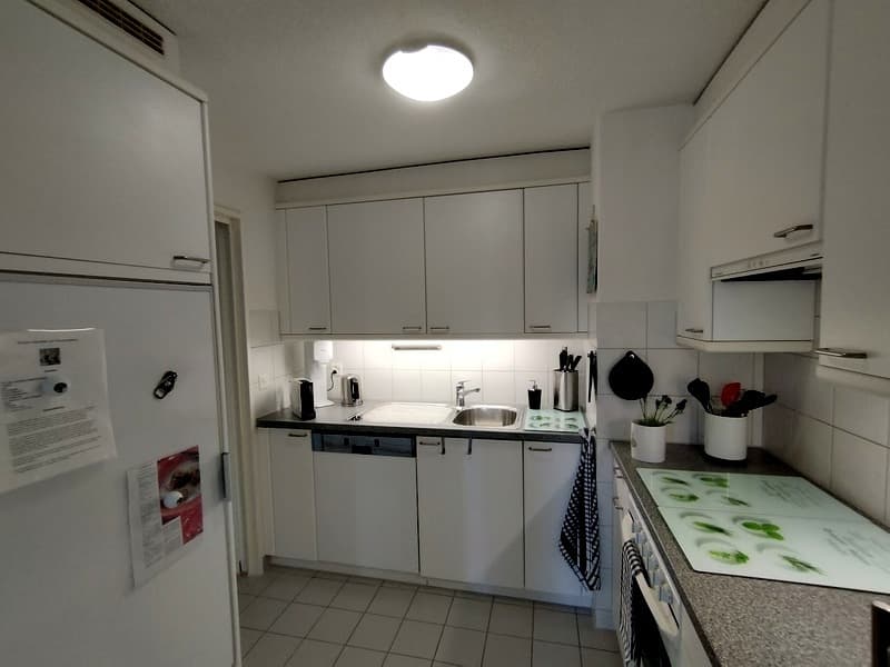 2½ ZIMMER-ATTIKAWOHNUNG IN AU (ZH), MÖBLIERT, TEMPORÄR (3)