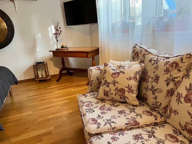 STUDIO IN THUN (BE), MÖBLIERT, TEMPORÄR (2)
