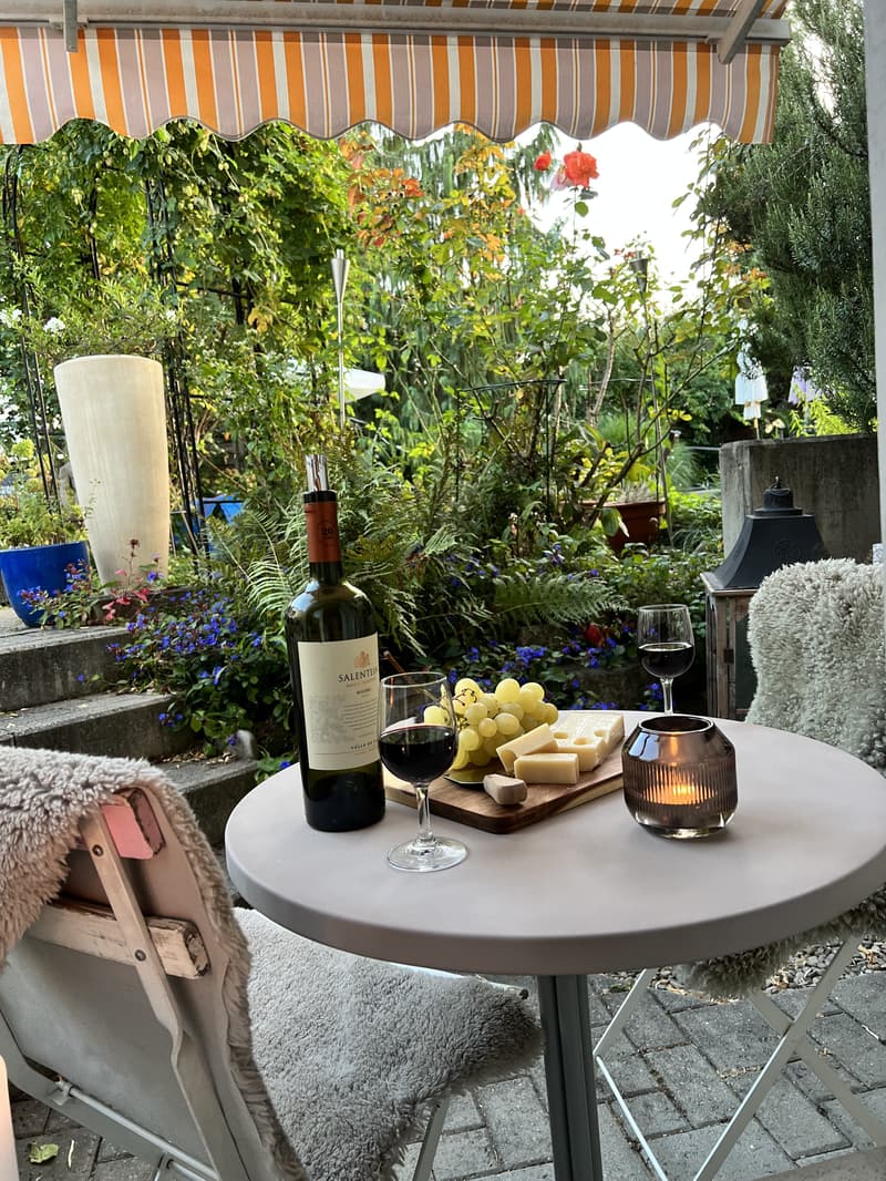 STUDIO IN THUN (BE), MÖBLIERT, TEMPORÄR (6)